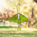 Stained glass butterfly ornament Daughter in law gift Luna Moth Custom stained glass butterfly memorial Stained glass butterfly garden art